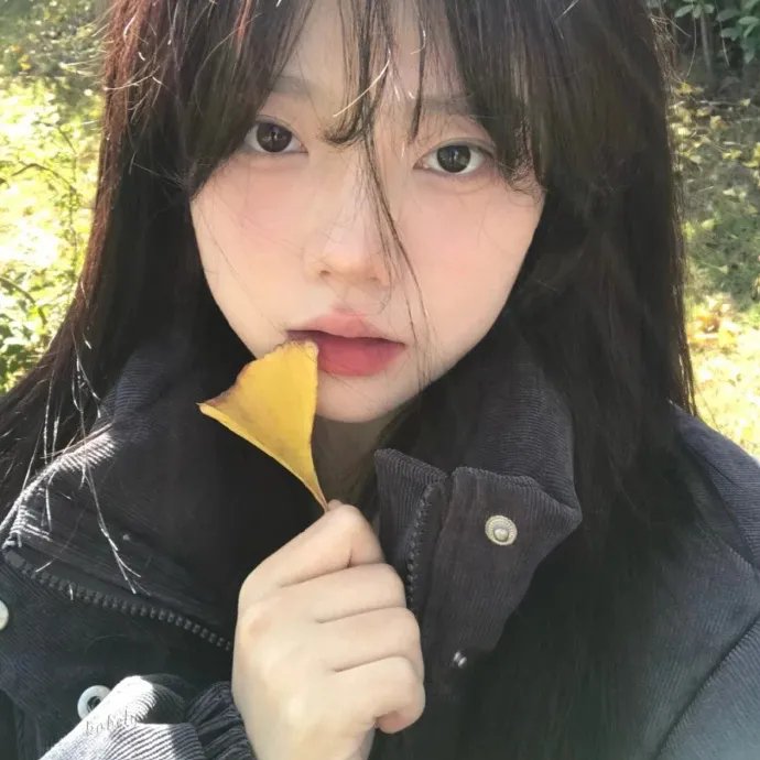 电影/短片