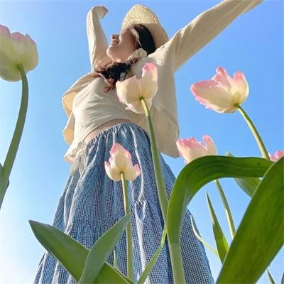 动画/剧场版